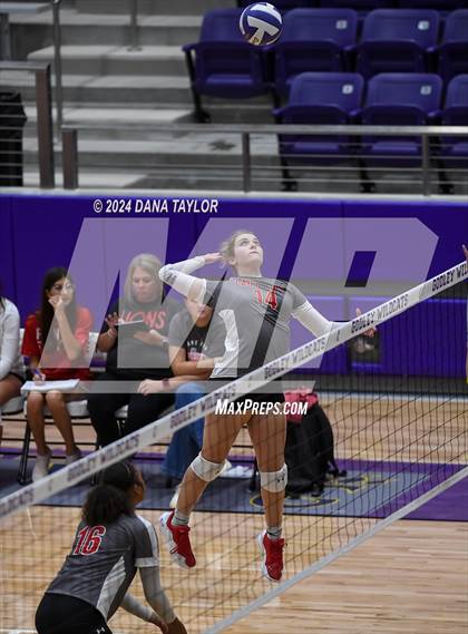 Thumbnail 3 in Ponder @ Godley photogallery.