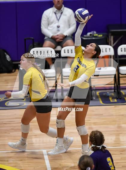 Thumbnail 1 in Ponder @ Godley photogallery.