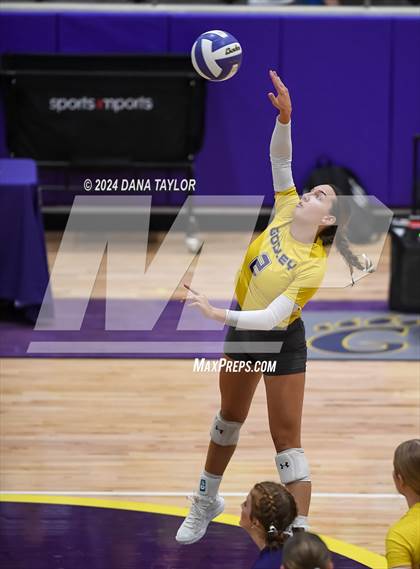 Thumbnail 2 in Ponder @ Godley photogallery.