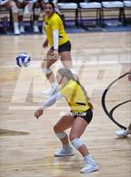 Photo from the gallery "Ponder @ Godley"