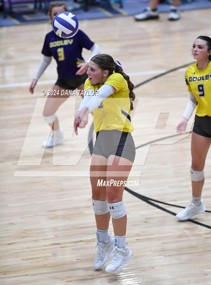 Thumbnail 1 in Ponder @ Godley photogallery.