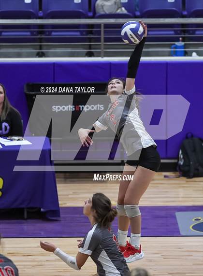 Thumbnail 1 in Ponder @ Godley photogallery.