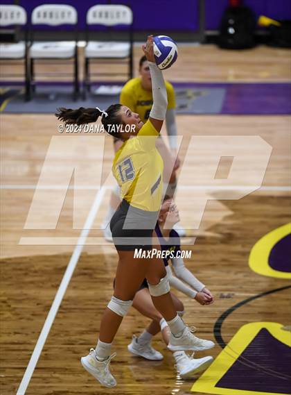 Thumbnail 3 in Ponder @ Godley photogallery.