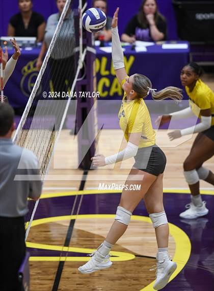 Thumbnail 2 in Ponder @ Godley photogallery.