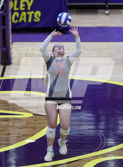 Thumbnail 3 in Ponder @ Godley photogallery.