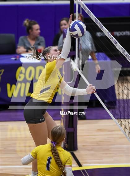 Thumbnail 2 in Ponder @ Godley photogallery.