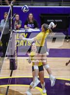 Photo from the gallery "Ponder @ Godley"