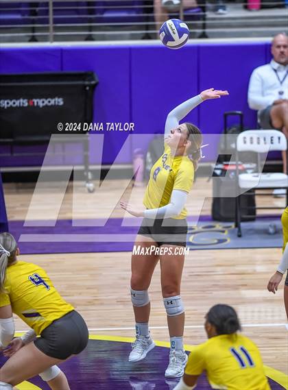 Thumbnail 1 in Ponder @ Godley photogallery.