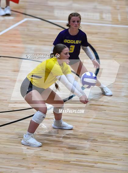 Thumbnail 1 in Ponder @ Godley photogallery.
