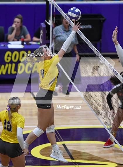 Thumbnail 1 in Ponder @ Godley photogallery.