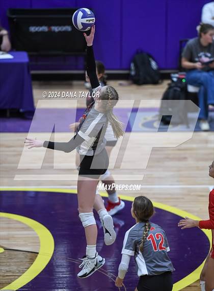 Thumbnail 2 in Ponder @ Godley photogallery.