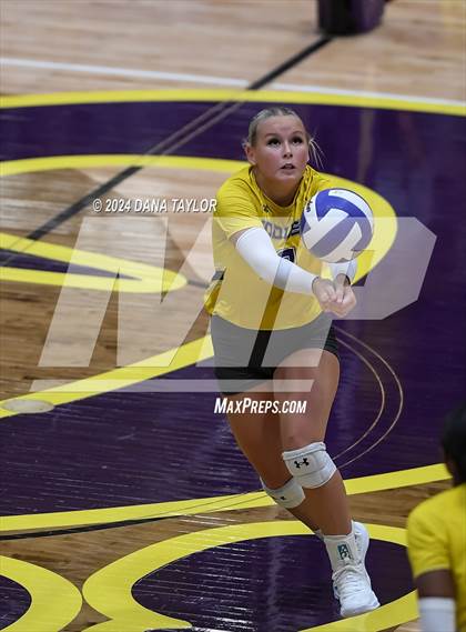 Thumbnail 2 in Ponder @ Godley photogallery.