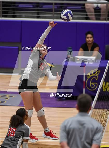 Thumbnail 3 in Ponder @ Godley photogallery.