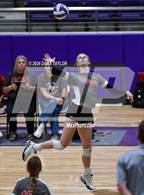 Photo from the gallery "Ponder @ Godley"