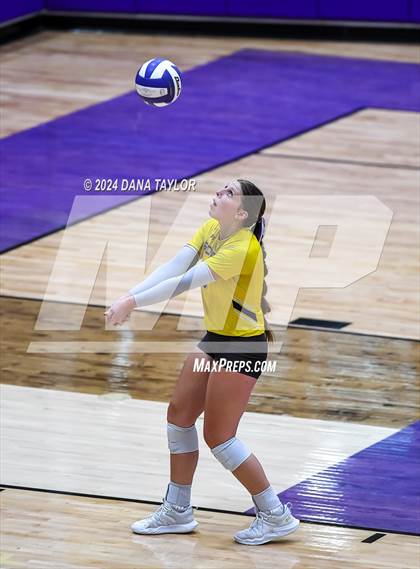 Thumbnail 3 in Ponder @ Godley photogallery.