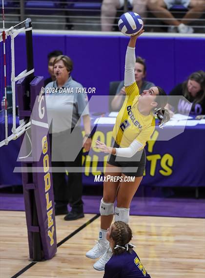 Thumbnail 2 in Ponder @ Godley photogallery.