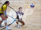 Photo from the gallery "Ponder @ Godley"