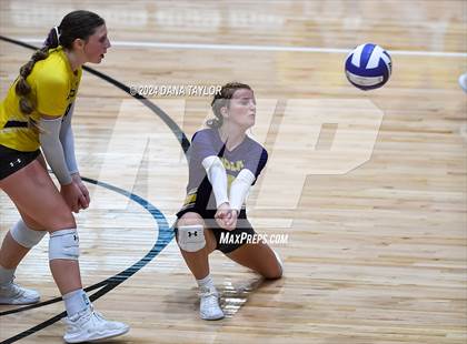 Thumbnail 2 in Ponder @ Godley photogallery.