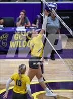 Photo from the gallery "Ponder @ Godley"