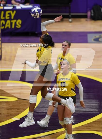 Thumbnail 1 in Ponder @ Godley photogallery.