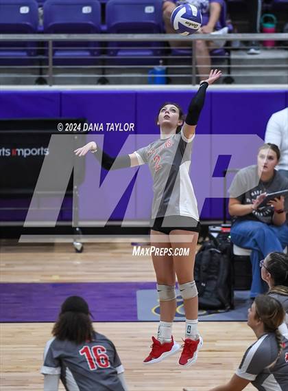 Thumbnail 3 in Ponder @ Godley photogallery.