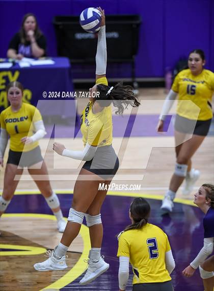 Thumbnail 2 in Ponder @ Godley photogallery.