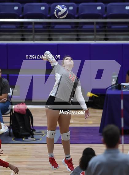 Thumbnail 1 in Ponder @ Godley photogallery.