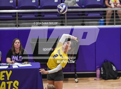 Thumbnail 3 in Ponder @ Godley photogallery.