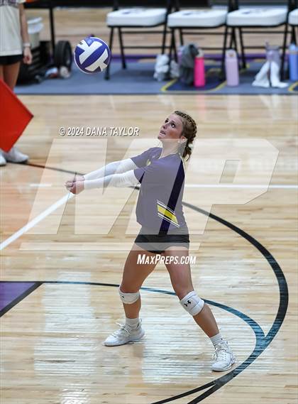 Thumbnail 1 in Ponder @ Godley photogallery.