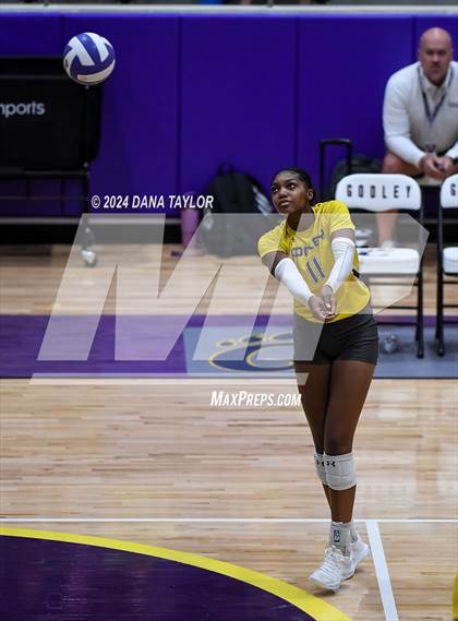 Thumbnail 3 in Ponder @ Godley photogallery.