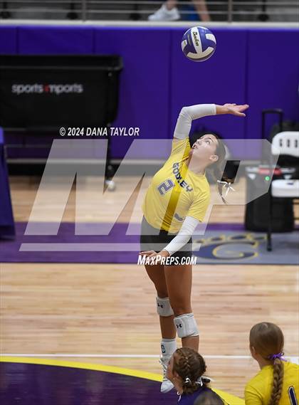 Thumbnail 1 in Ponder @ Godley photogallery.