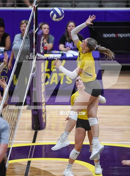 Thumbnail 2 in Ponder @ Godley photogallery.