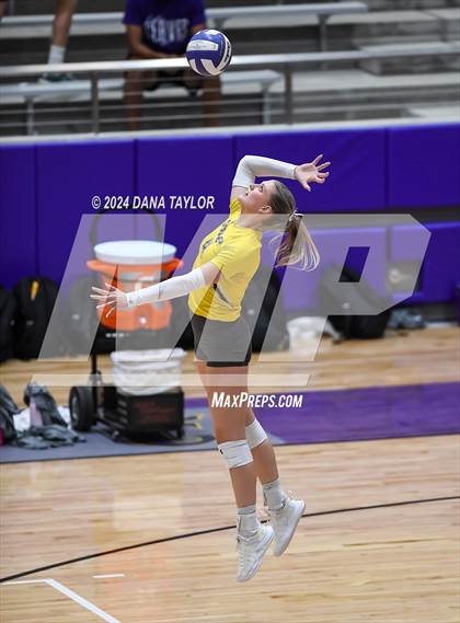 Thumbnail 3 in Ponder @ Godley photogallery.
