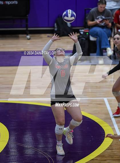 Thumbnail 2 in Ponder @ Godley photogallery.