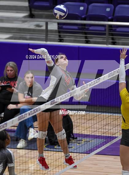 Thumbnail 1 in Ponder @ Godley photogallery.