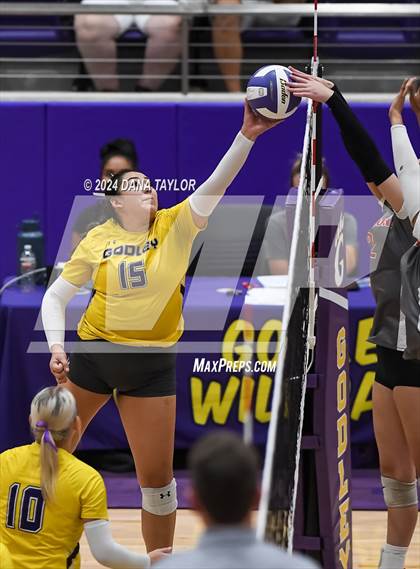 Thumbnail 3 in Ponder @ Godley photogallery.