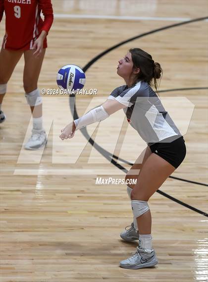 Thumbnail 1 in Ponder @ Godley photogallery.