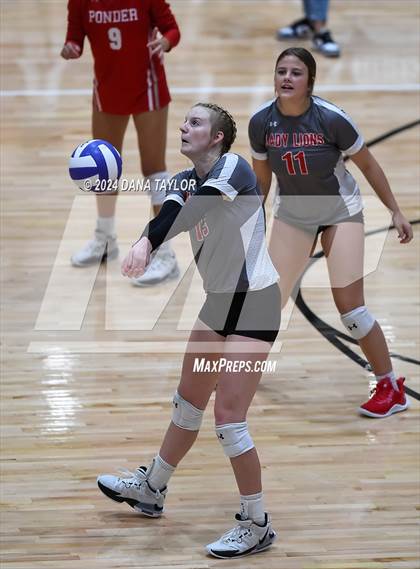 Thumbnail 2 in Ponder @ Godley photogallery.