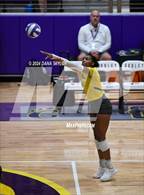 Photo from the gallery "Ponder @ Godley"