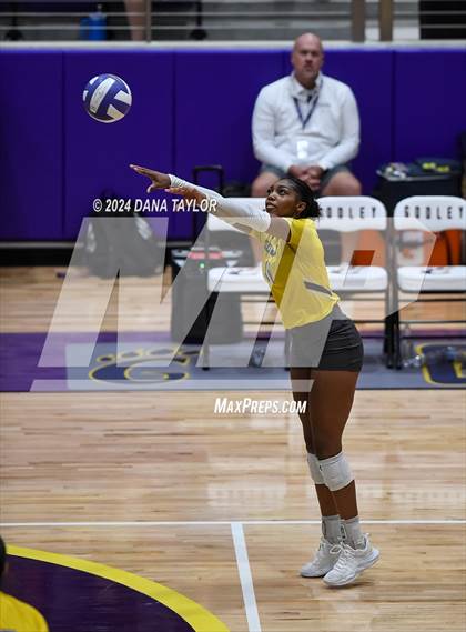 Thumbnail 3 in Ponder @ Godley photogallery.