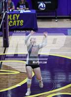 Photo from the gallery "Ponder @ Godley"