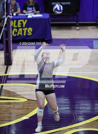 Thumbnail 2 in Ponder @ Godley photogallery.