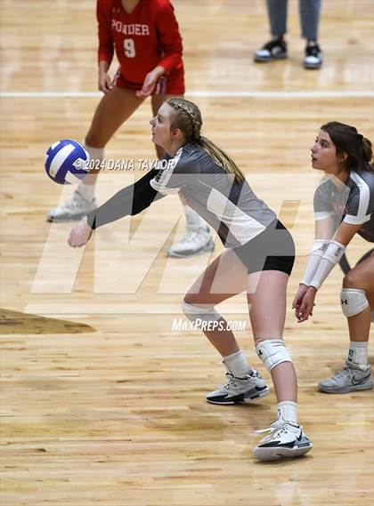 Thumbnail 3 in Ponder @ Godley photogallery.