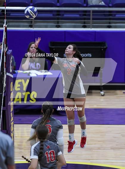 Thumbnail 1 in Ponder @ Godley photogallery.