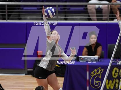Thumbnail 2 in Ponder @ Godley photogallery.