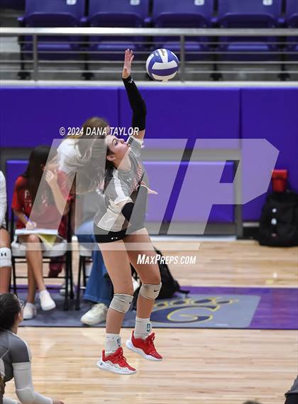 Thumbnail 3 in Ponder @ Godley photogallery.