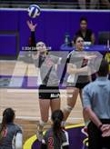 Photo from the gallery "Ponder @ Godley"