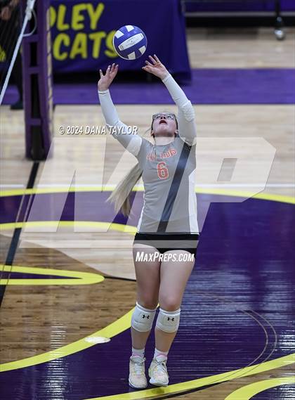 Thumbnail 1 in Ponder @ Godley photogallery.