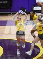 Photo from the gallery "Ponder @ Godley"