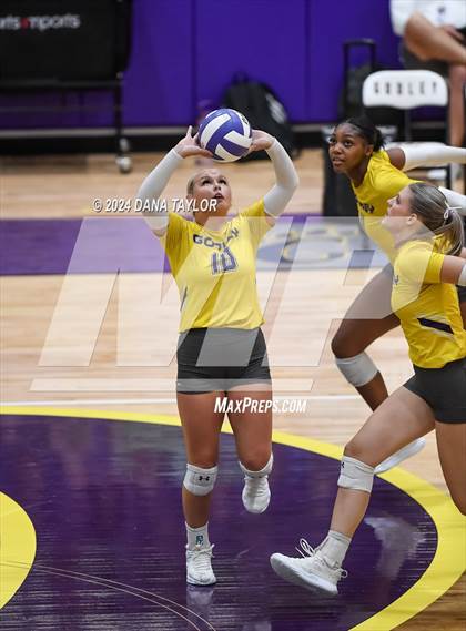 Thumbnail 1 in Ponder @ Godley photogallery.